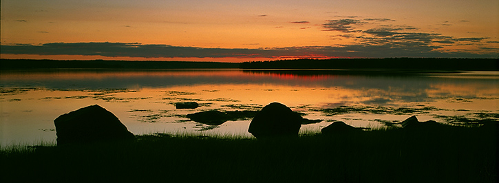 Early Morning Shoreline, Maine